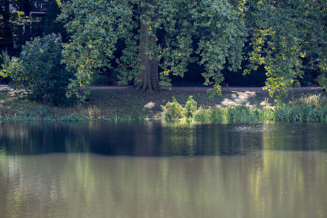 DSC_9080_001.JPG