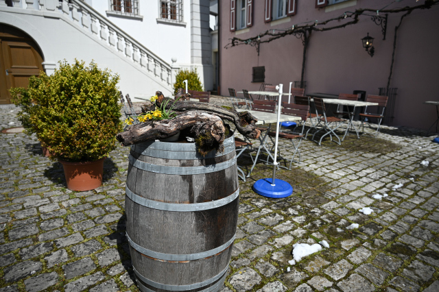 DSC_9090_001.JPG