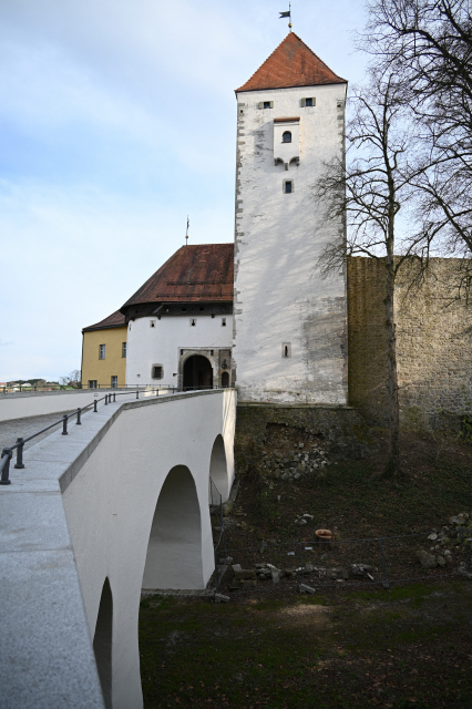 DSC_9123_001.JPG