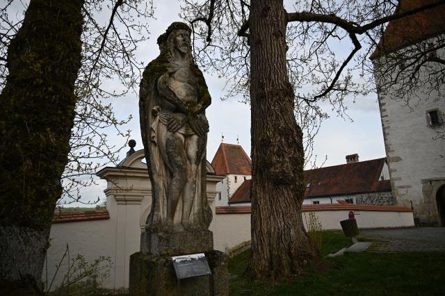DSC_9130_001.JPG