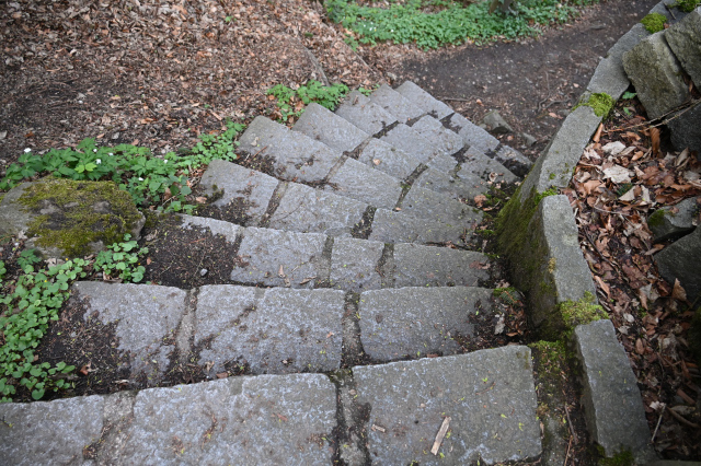 DSC_9145_001.JPG