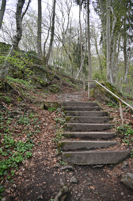 DSC_9149_001.JPG