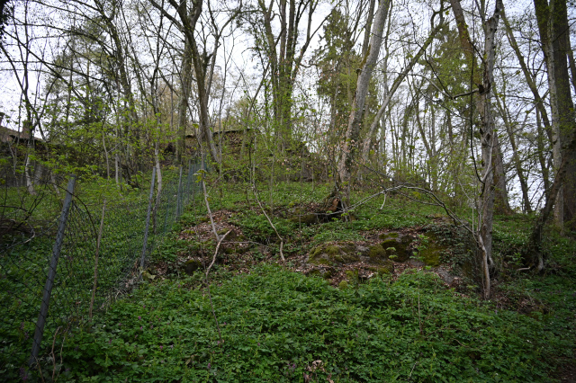DSC_9152_001.JPG