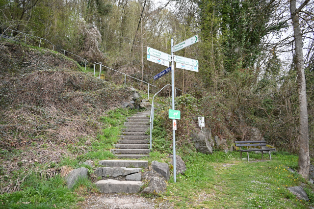 DSC_9158_001.JPG
