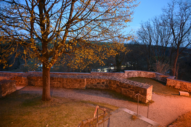 DSC_9232_001.JPG