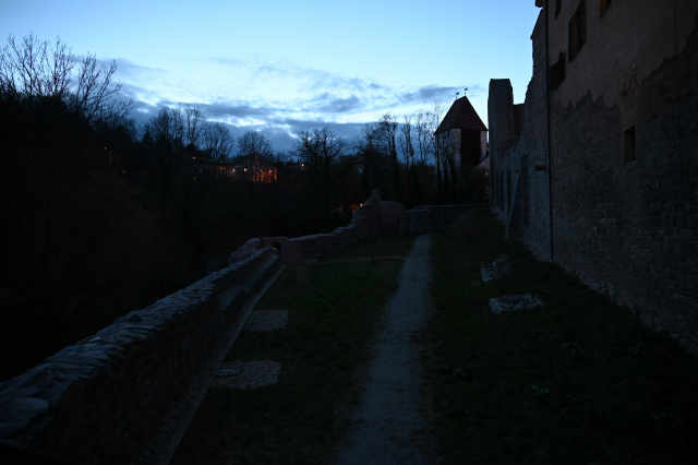 DSC_9234_001.JPG