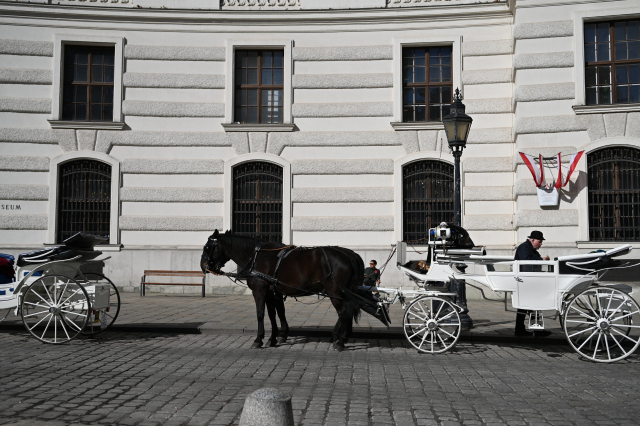 DSC_9328_001.JPG