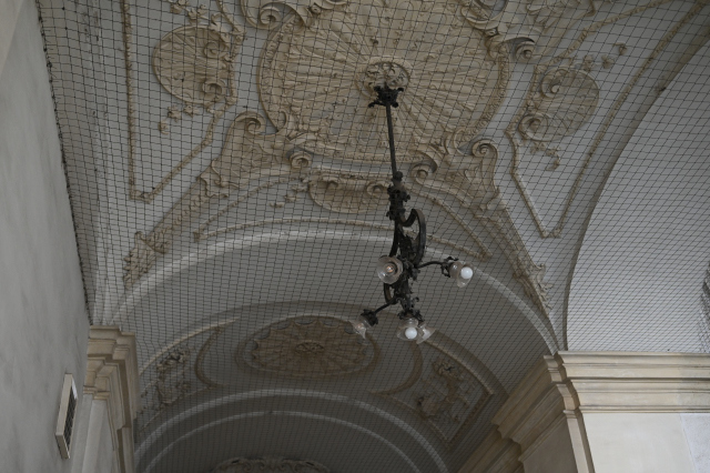DSC_9332_001.JPG