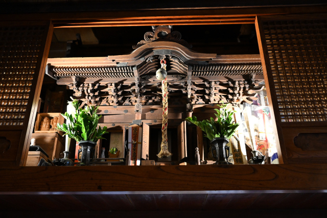 DSC_9343_001.JPG