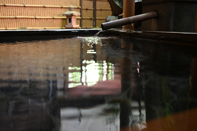 DSC_9352_001.JPG
