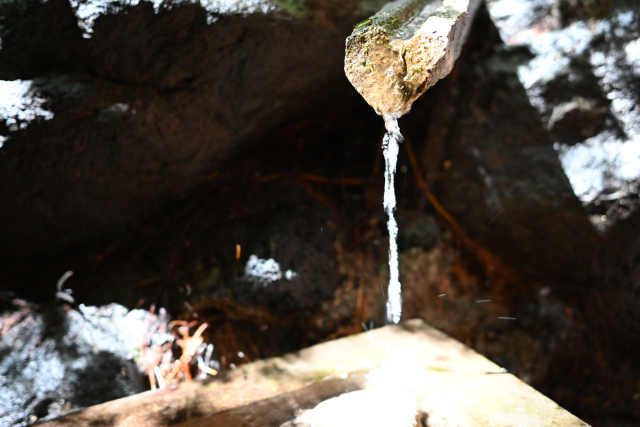 DSC_9370_001.JPG