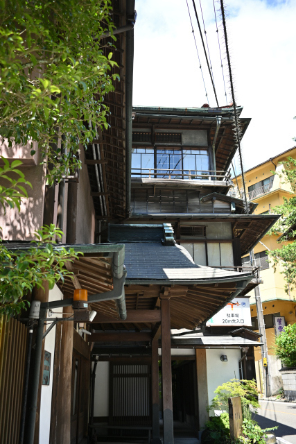 DSC_9397_001.JPG