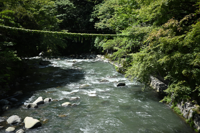 DSC_9398_001.JPG