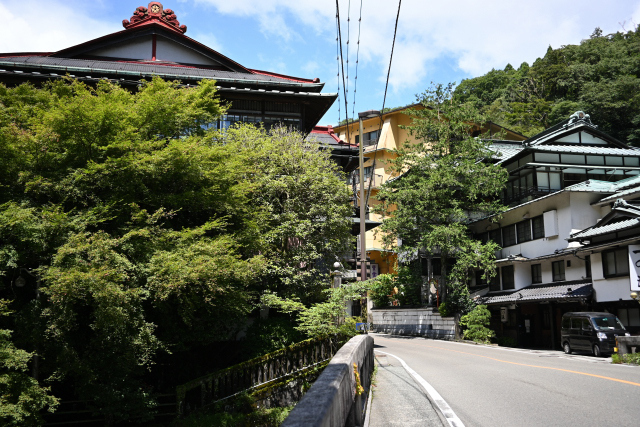 DSC_9402_001.JPG