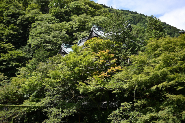 DSC_9403_001.JPG