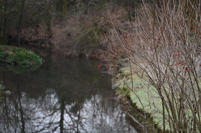 DSC_9437_001.JPG