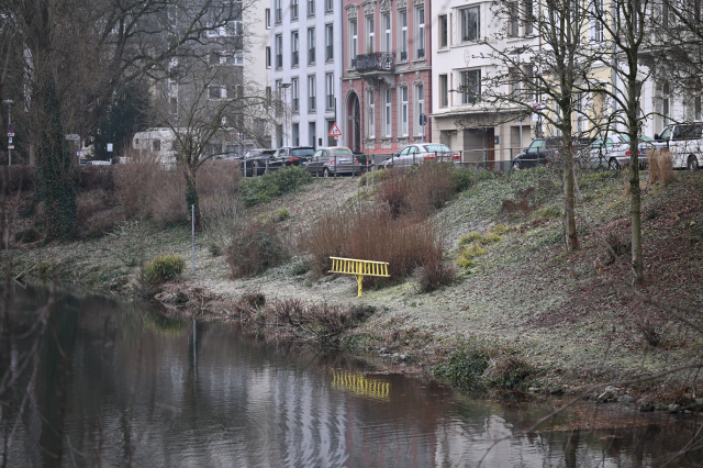 DSC_9440_001.JPG