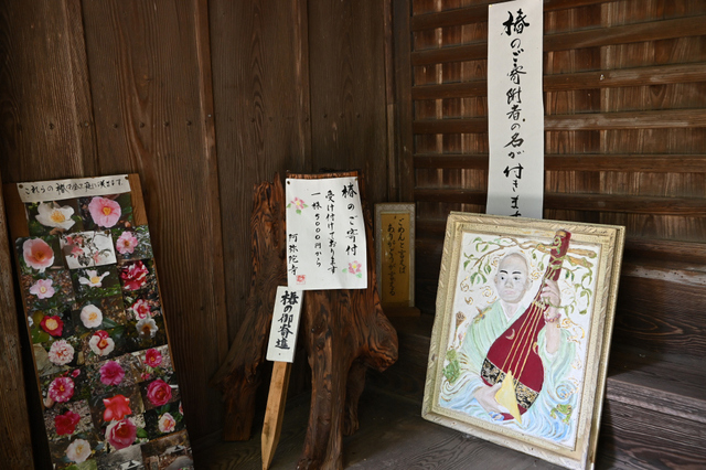DSC_9470_001.JPG