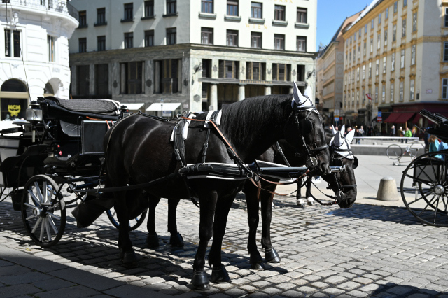 DSC_9502_001.JPG