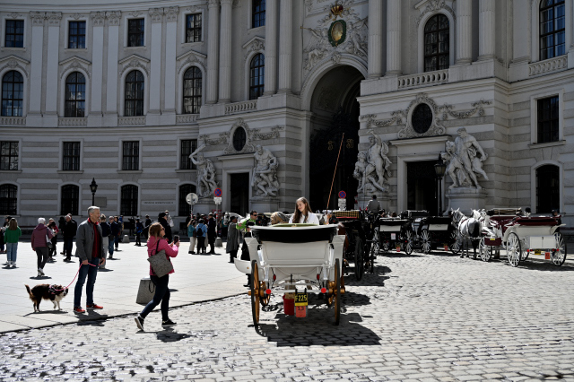 DSC_9503_001.JPG