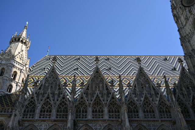 DSC_9529_001.JPG