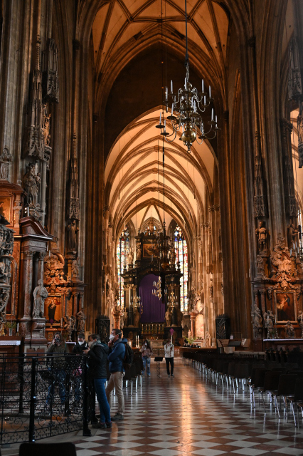 DSC_9542_001.JPG