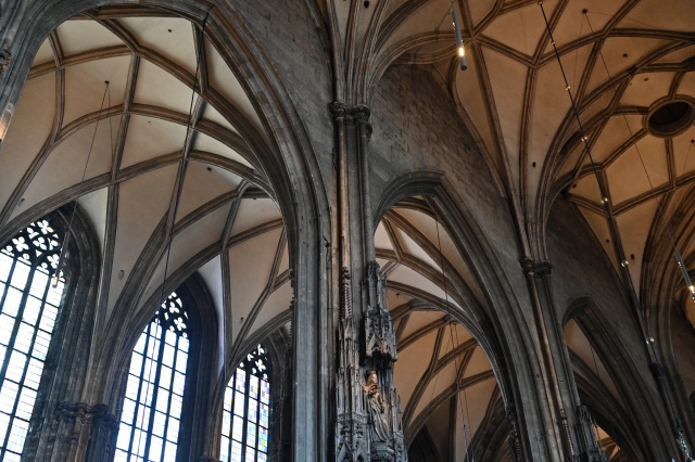 DSC_9545_001.JPG
