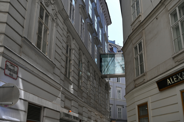 DSC_9551_001.JPG
