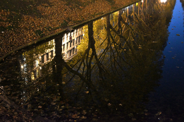 DSC_9555_001.JPG