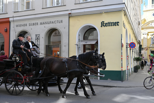 DSC_9570_001.JPG
