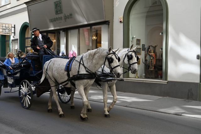 DSC_9584_001.JPG
