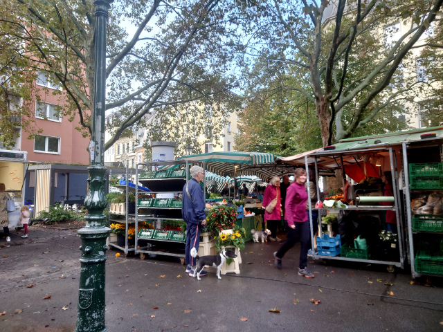 DSC_9651_001.JPG