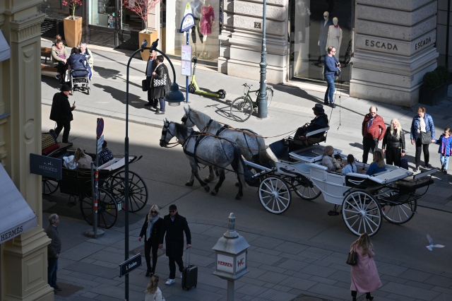 DSC_9674_001.JPG