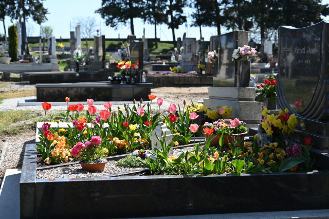 DSC_9825_001.JPG