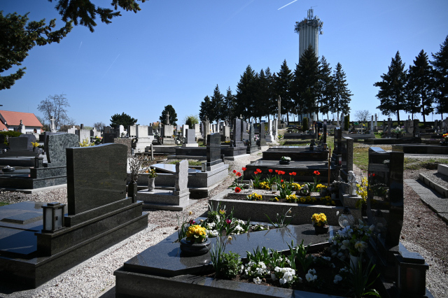 DSC_9827_001.JPG