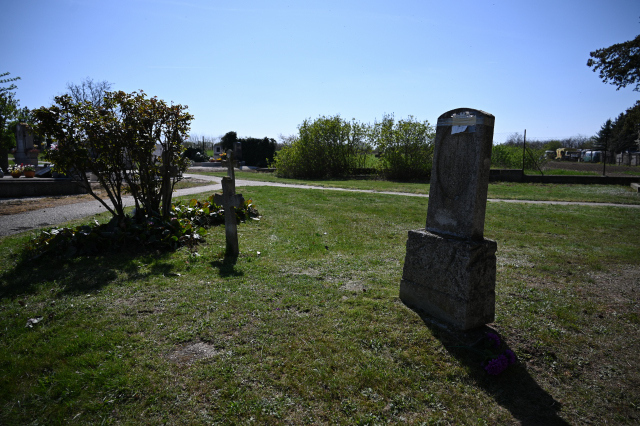 DSC_9837_001.JPG