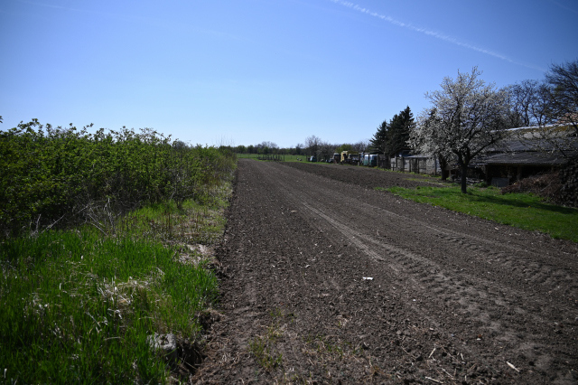 DSC_9838_001.JPG