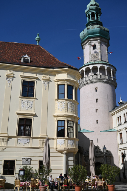 DSC_9918_001.JPG
