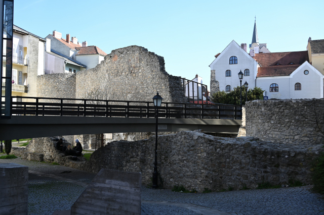DSC_9934_001.JPG