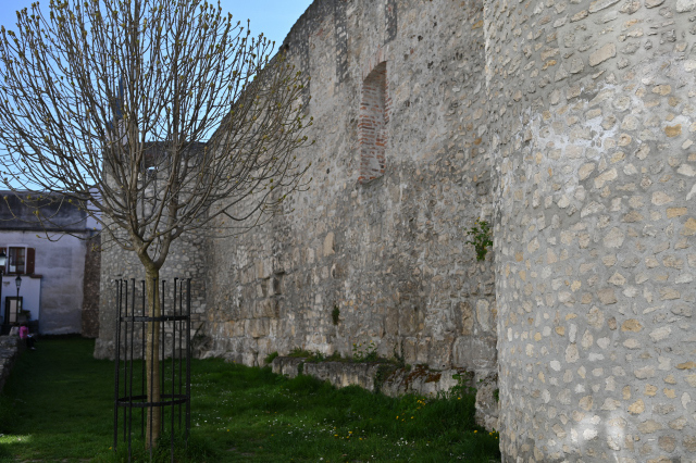 DSC_9936_001.JPG