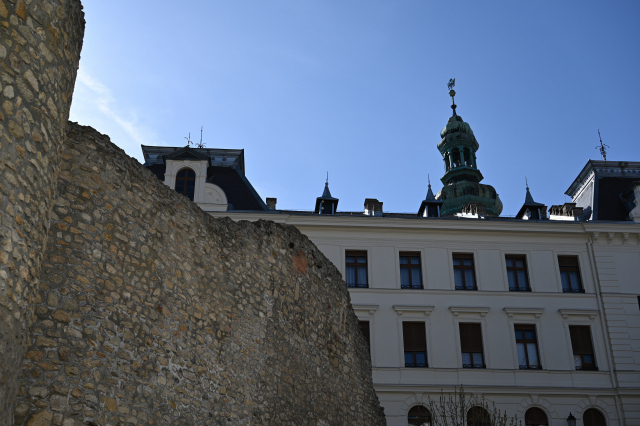 DSC_9937_001.JPG
