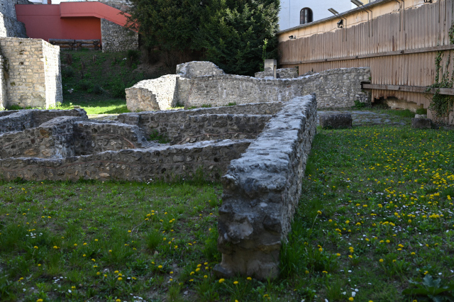 DSC_9941_001.JPG
