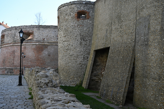 DSC_9951_001.JPG