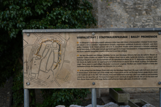 DSC_9953_001.JPG