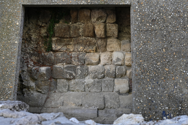 DSC_9954_001.JPG