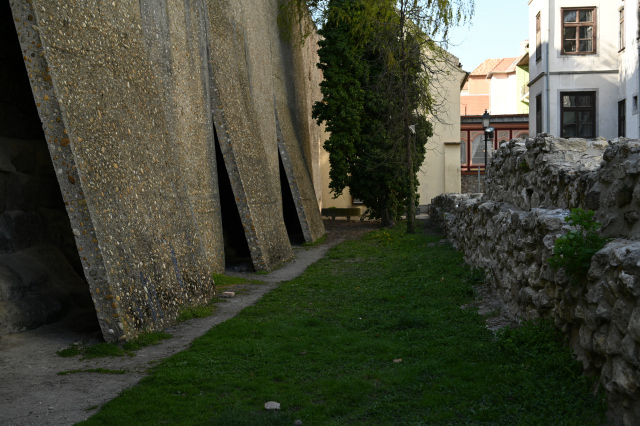 DSC_9958_001.JPG