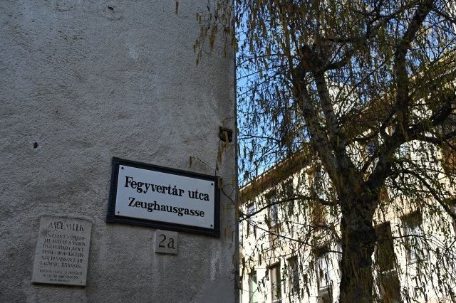 DSC_9978_001.JPG