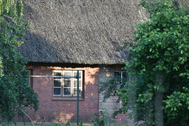 a5.jpg