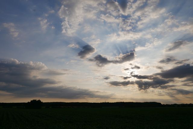a9.jpg