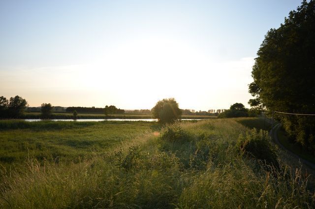 b3.jpg